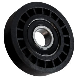 CA11013P